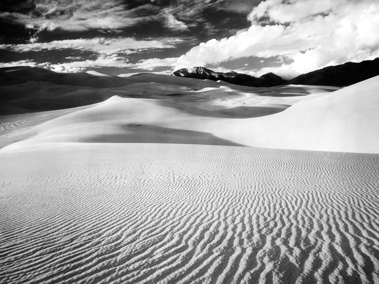 desert-bw-nature-desert-31000