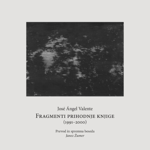 Fragmenti prihodnje knjige