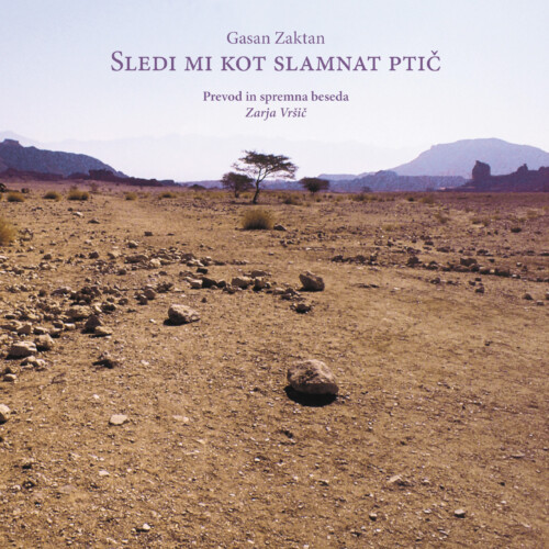 SLEDI MI KOT SLAMNAT PTIČ